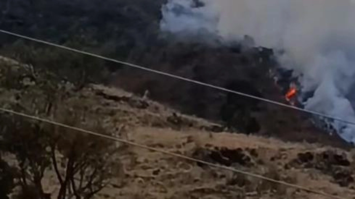 40 bomberos luchan contra el fuego en unas 400 hectáreas que no da tregua desde hace casi una semana en Buga