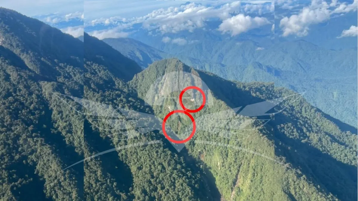 detalles del video previo a la desaparición